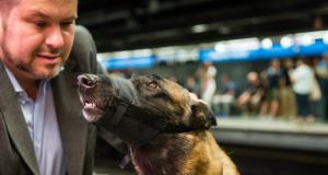 Un gos amb el seu amo a l'estació de metro de Sagrada Família / Pep Herrero
