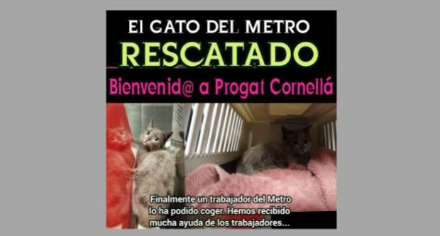 Imatge de Progat Cornellà