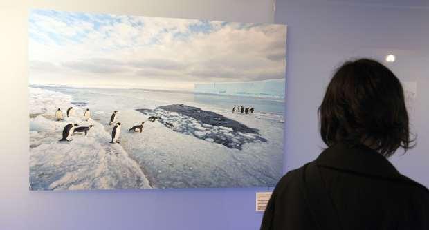 Una visitant observa una de les fotografies de l'exposició / Miguel Ángel Cuartero