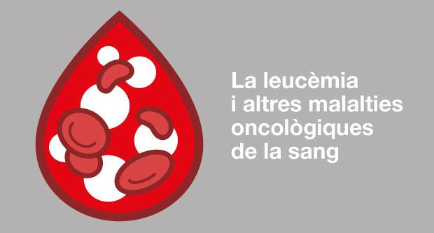 La causa més votada aquest any ha estat 'La leucèmia i altres malalties oncològiques de la sang' / Imatge: Disseny Gràfic