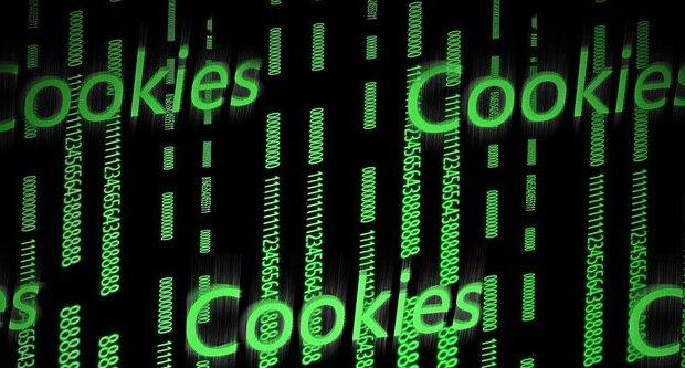 Les cookies emmagatzemen informació de la nostra navegació / Imatge: kalhh a Pixabay