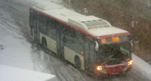 Temps de neu / Con d'Horta