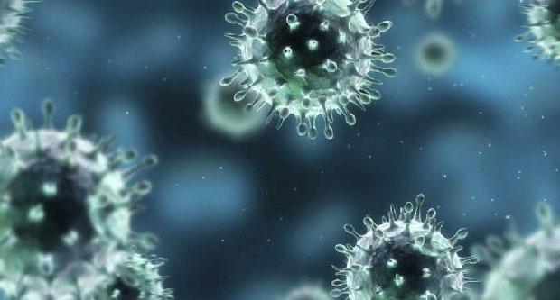 Imatge virus grip / TMB