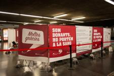 Donació de sang al vestíbul d'Universitat / Pep Herrero