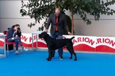 El Sergio amb el seu gos Enemy, guanyador en la categoria "raça" / Sergio López