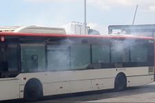 Incendi bus / TMB