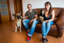 El César ha començat una nova vida com a animal de companyia / Pep Herrero El César ha començat una nova vida com a animal de companyia / Pep Herrero